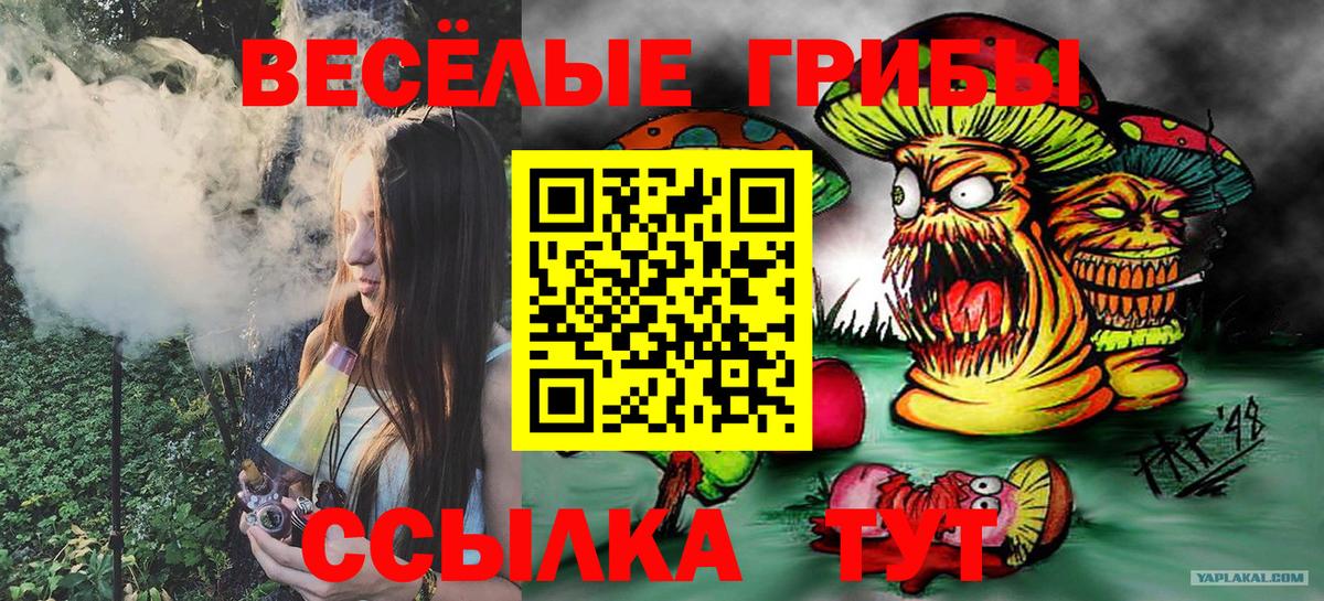 Людиново  Галлюциногенные грибы прущие грибы  Вход с VPN  Псилоцибиновые грибы Psilocybine cubensis 